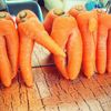 セクシー人参から、赤ちゃん大根まで！　へんてこなカタチの野菜が大集合の画像