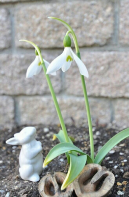 スクリーンショット 2017-02-03 14.56.41