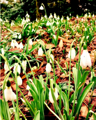 スクリーンショット 2017-02-03 14.59.38