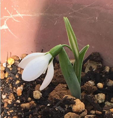 スクリーンショット 2017-02-03 15.01.07