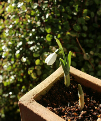 スクリーンショット 2017-02-03 15.04.46