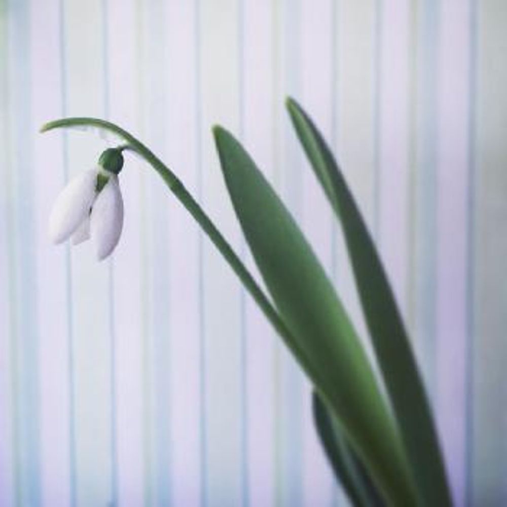 1452322536717_thum_1452322535715_thum_tmp