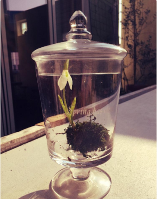 スクリーンショット 2017-02-03 17.21.30