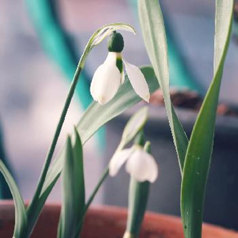 1455745207506_thum_1455745206819_thum_tmp