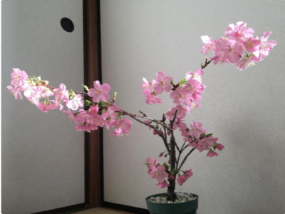 スクリーンショット 2017-02-10 13.44.16