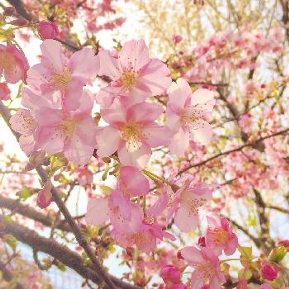 1486390288248_thum_1486390287795_thum_tmp