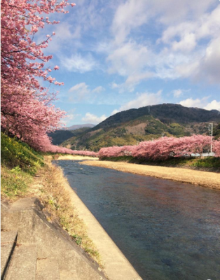 スクリーンショット 2017-02-10 13.50.52