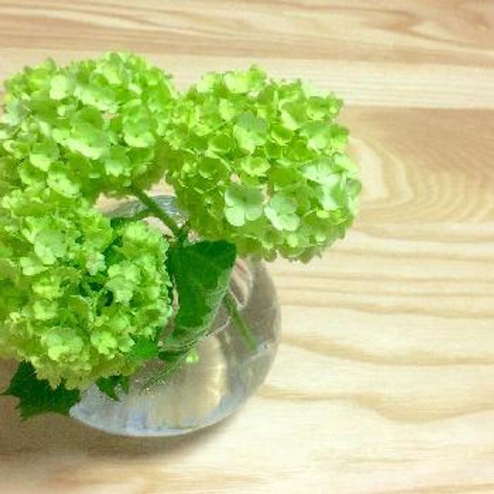 1465650079480_thum_1465650079042_thum_tmp