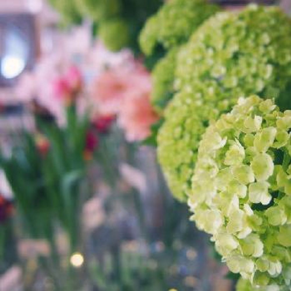 1457003703556_thum_1457003702439_thum_tmp