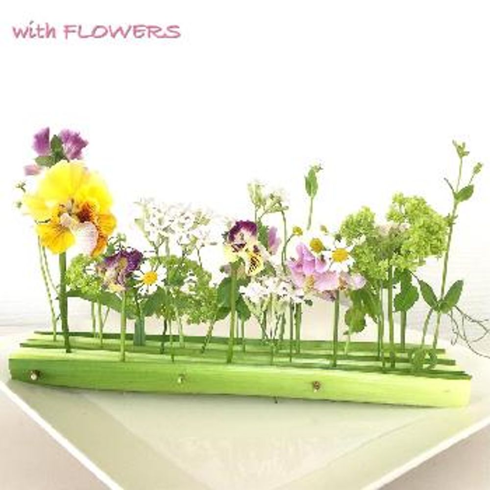 1486797273751_thum_1486797273309_thum_photo