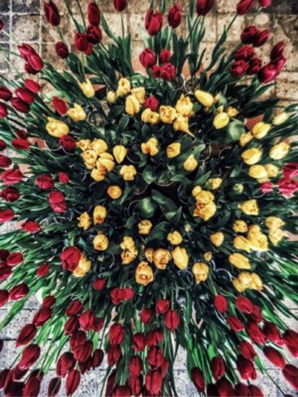 Photo by furu＊さん