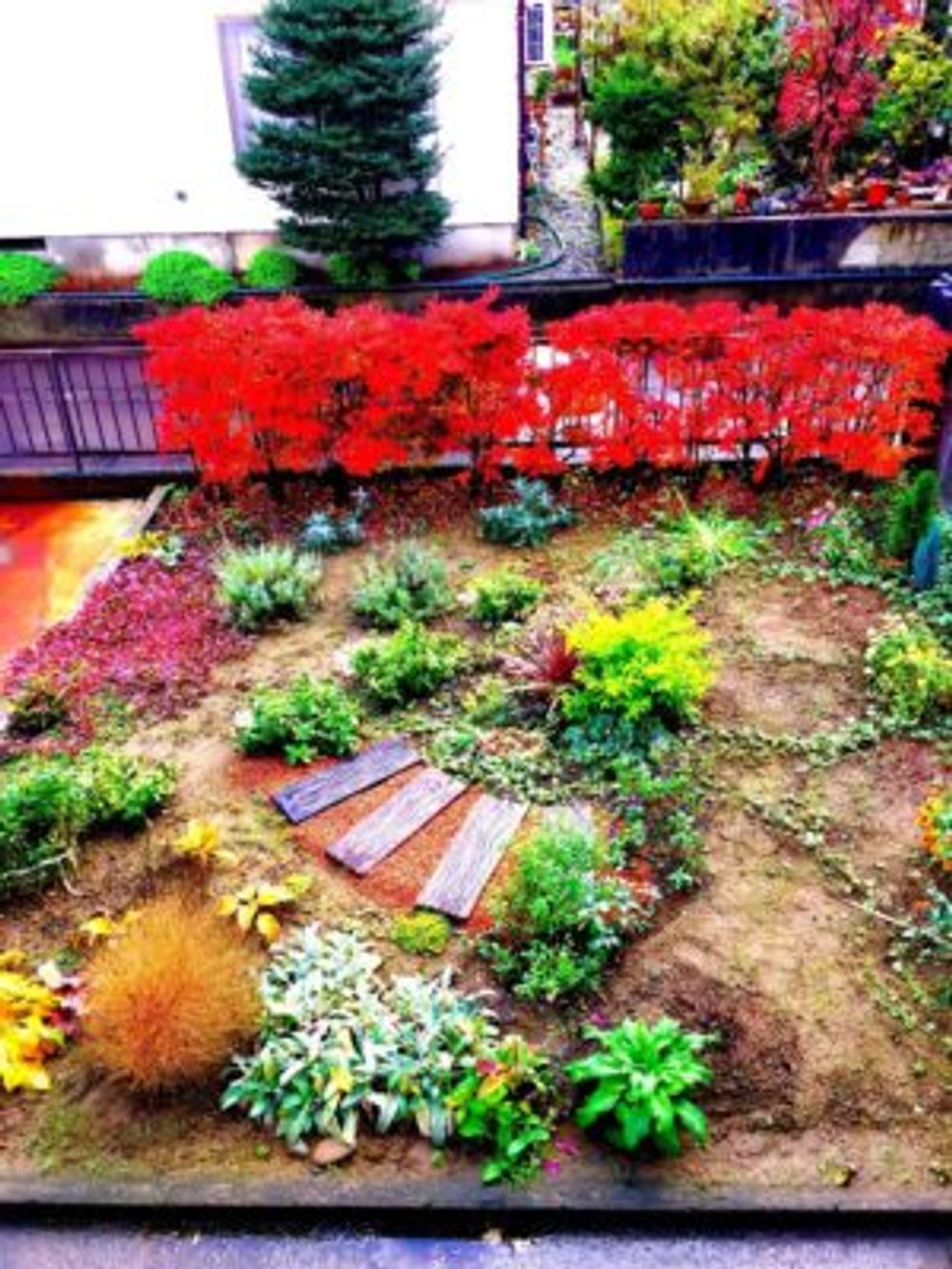 Photo by さえさん