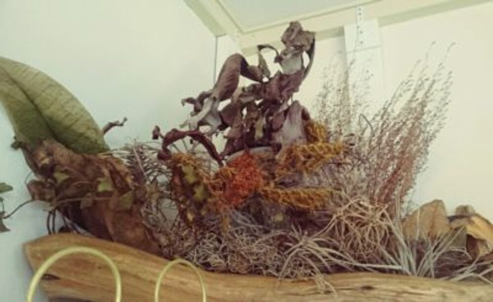 Photo by ＭＡＴＥＩさん