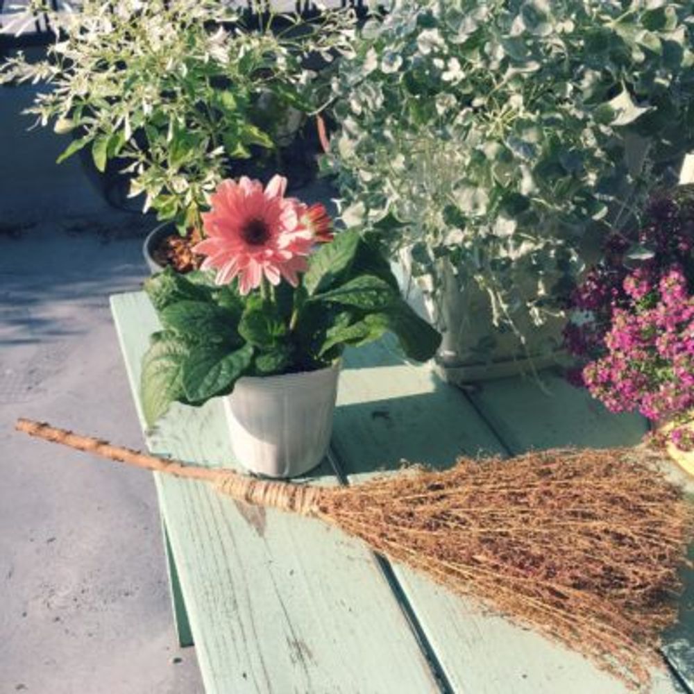 Photo by ぷくりんさん