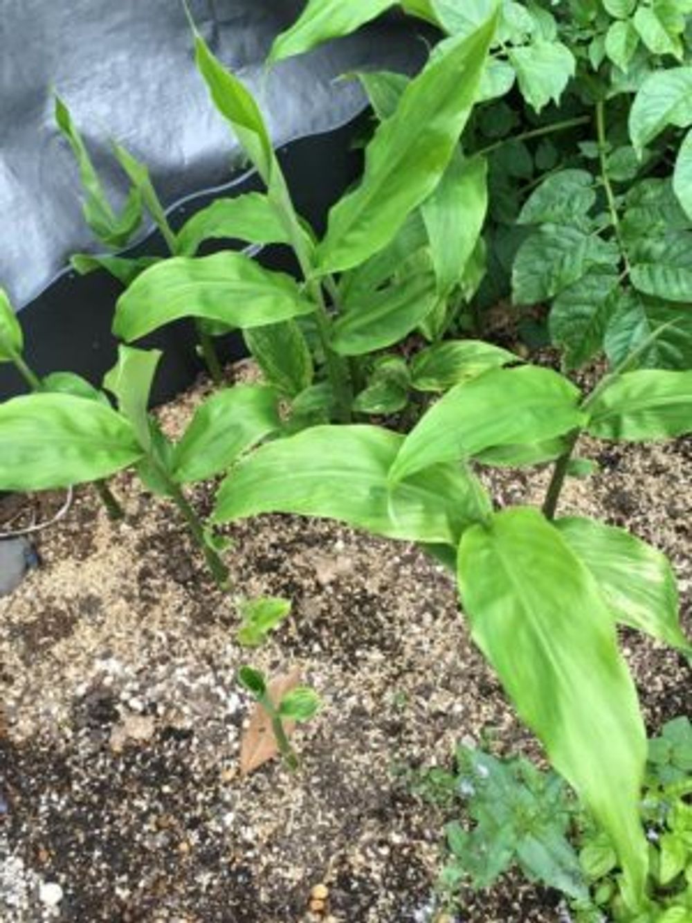 Photo by サリーさん