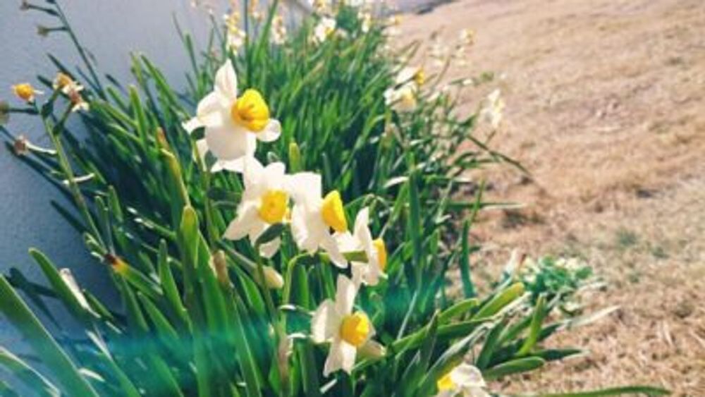 Photo by こうこうさん