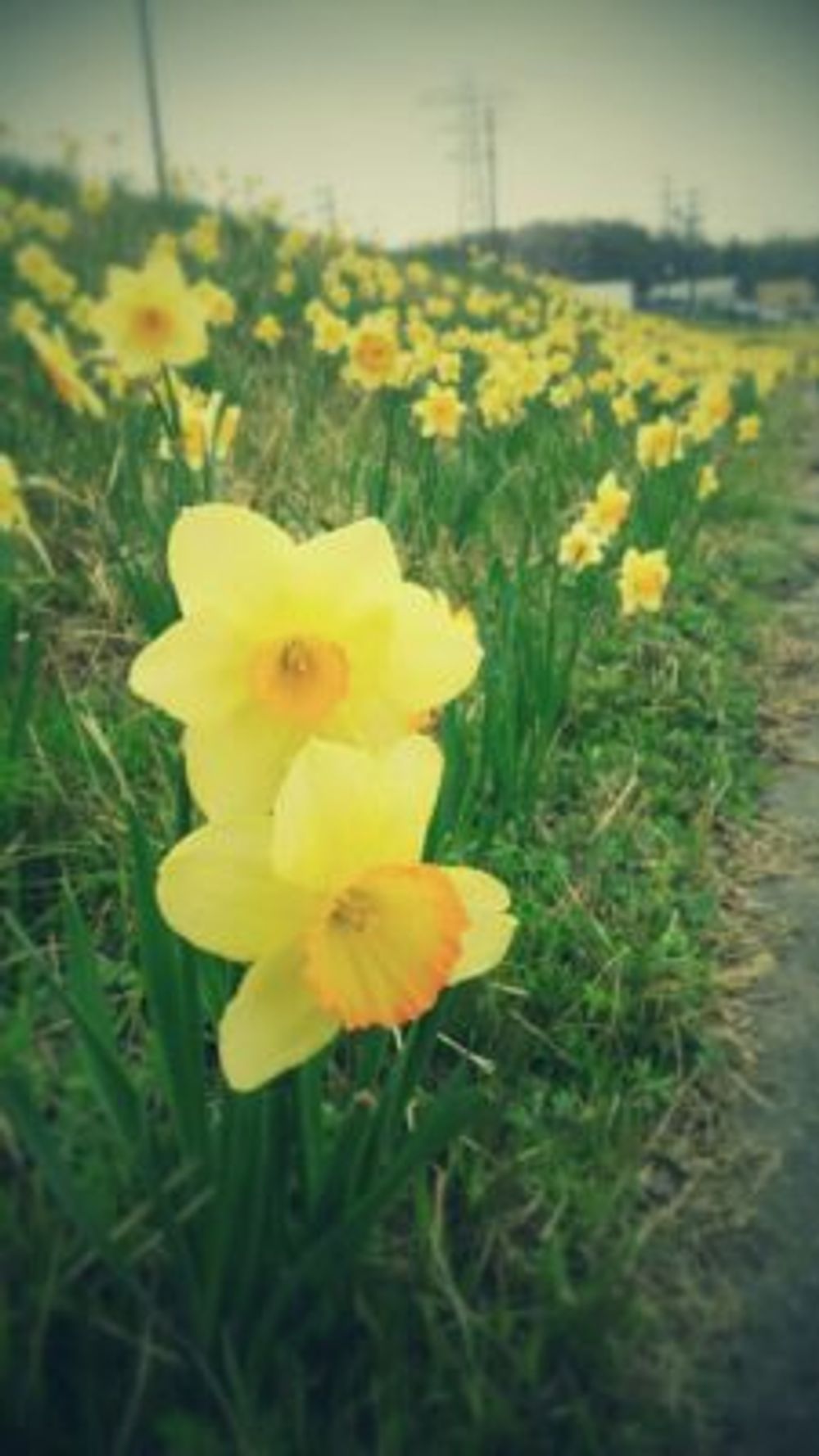 Photo by おそのさん