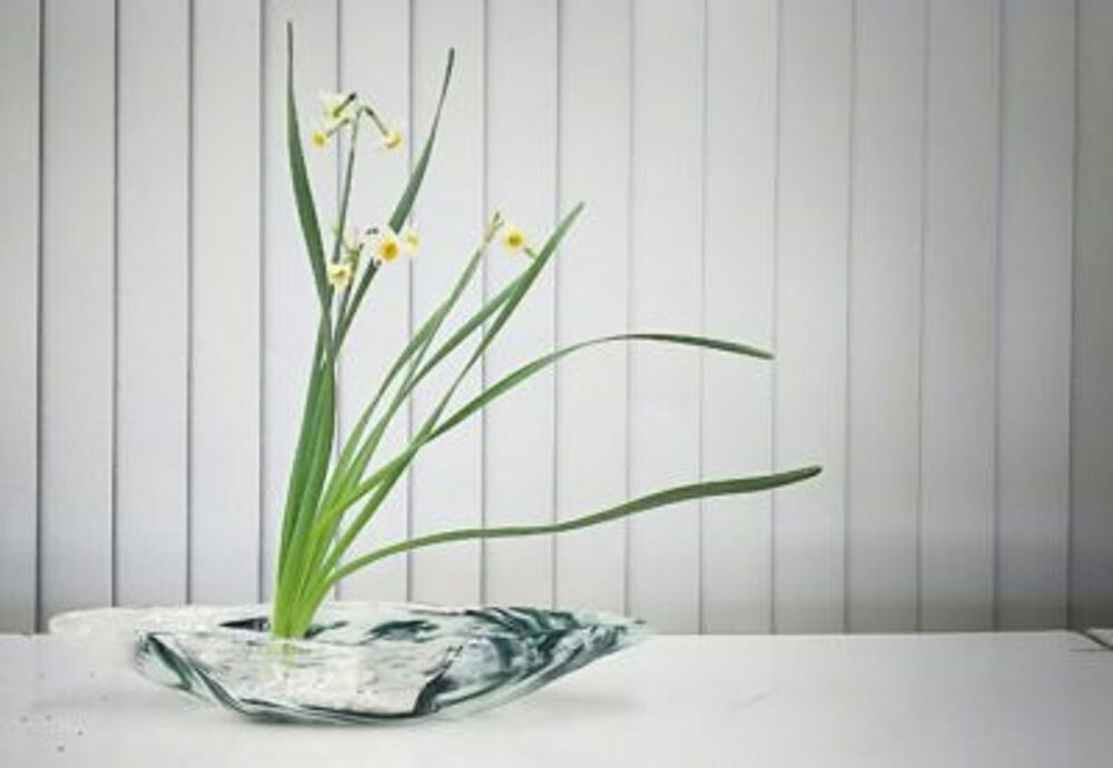 Photo by greengreenflashさん