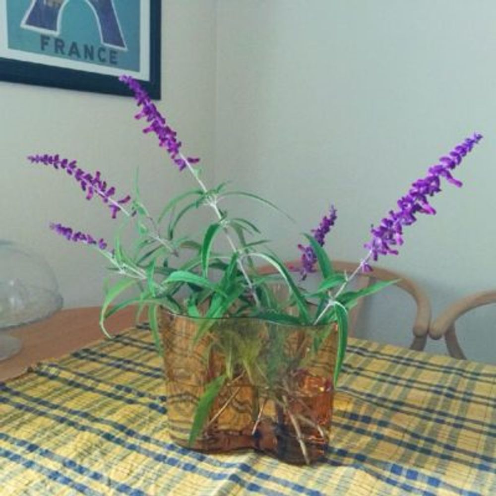 Photo by Griffinさん