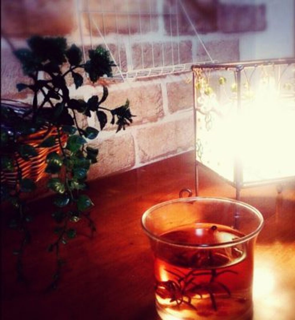 Photo by 蘊蓄の「あず」さん