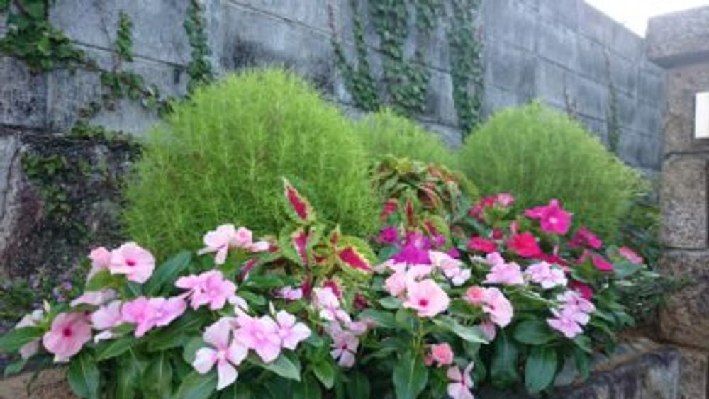 Photo by vesselさん