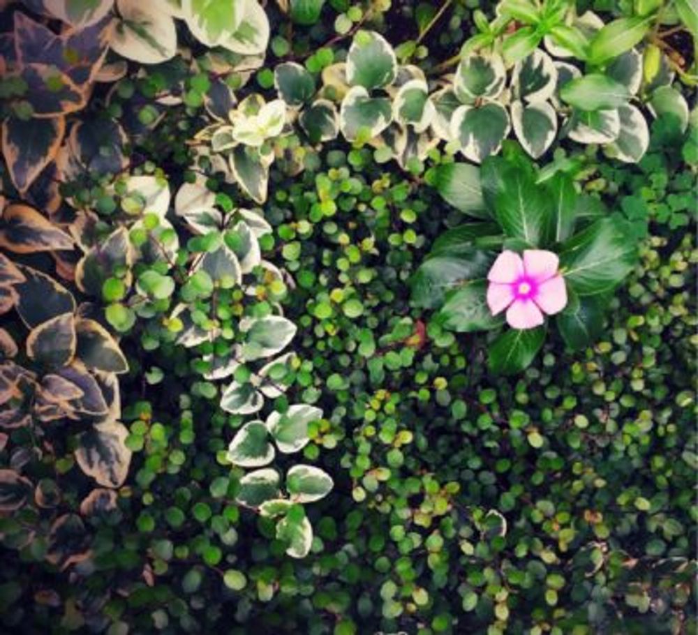 Photo by SEISHINさん