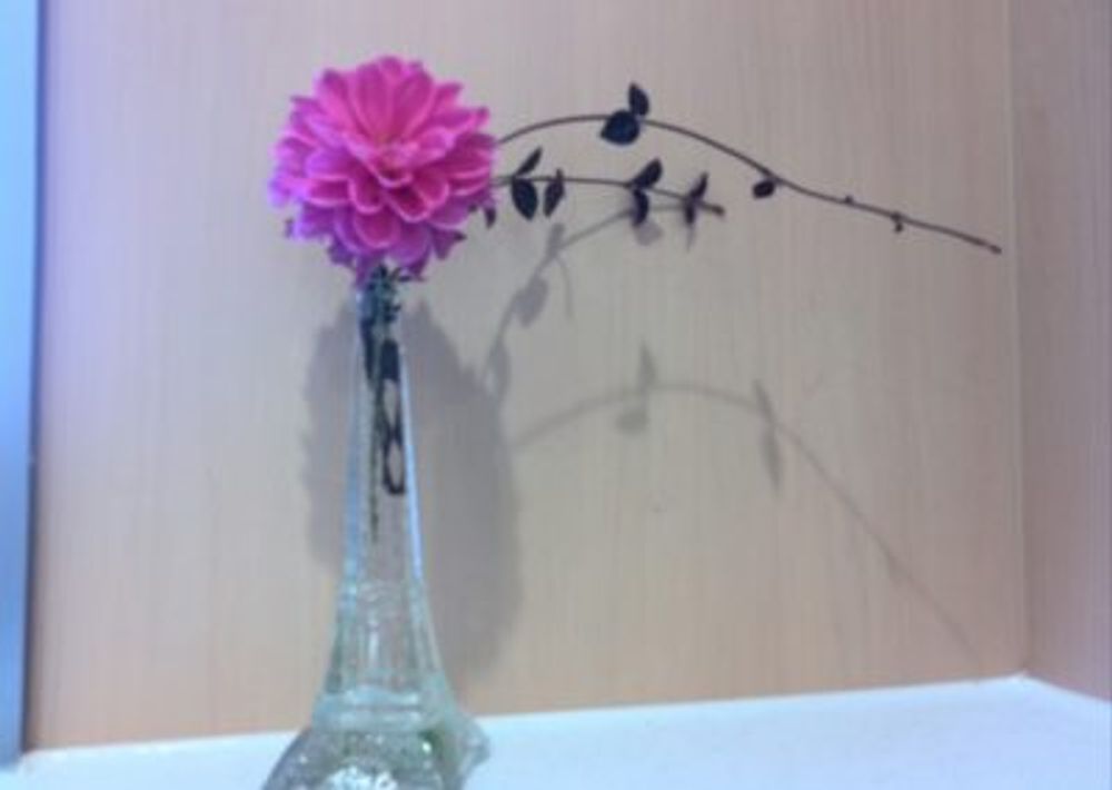 Photo by ふみふみさん