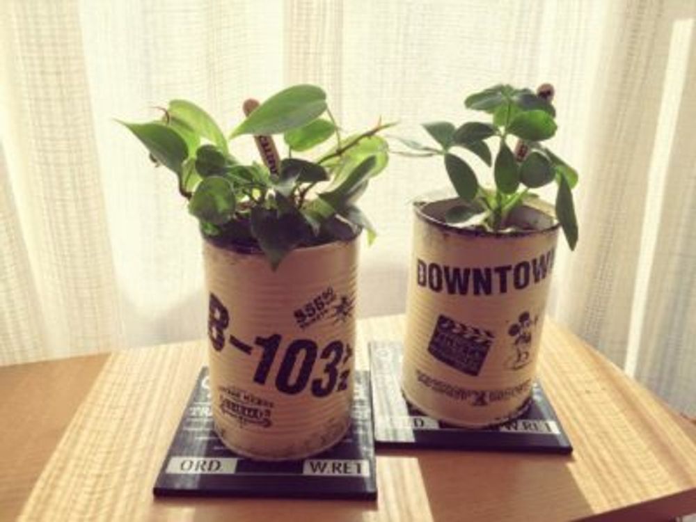 Photo by soa❤︎さん