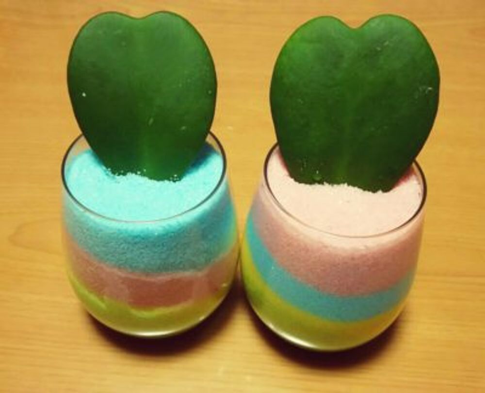 Photo by ゆうさん