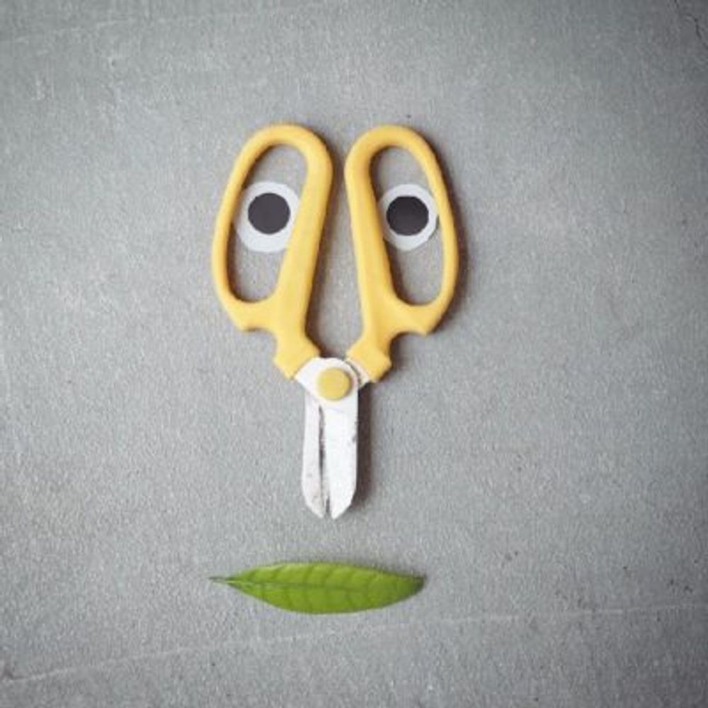 Photo by Blumen Hutteさん