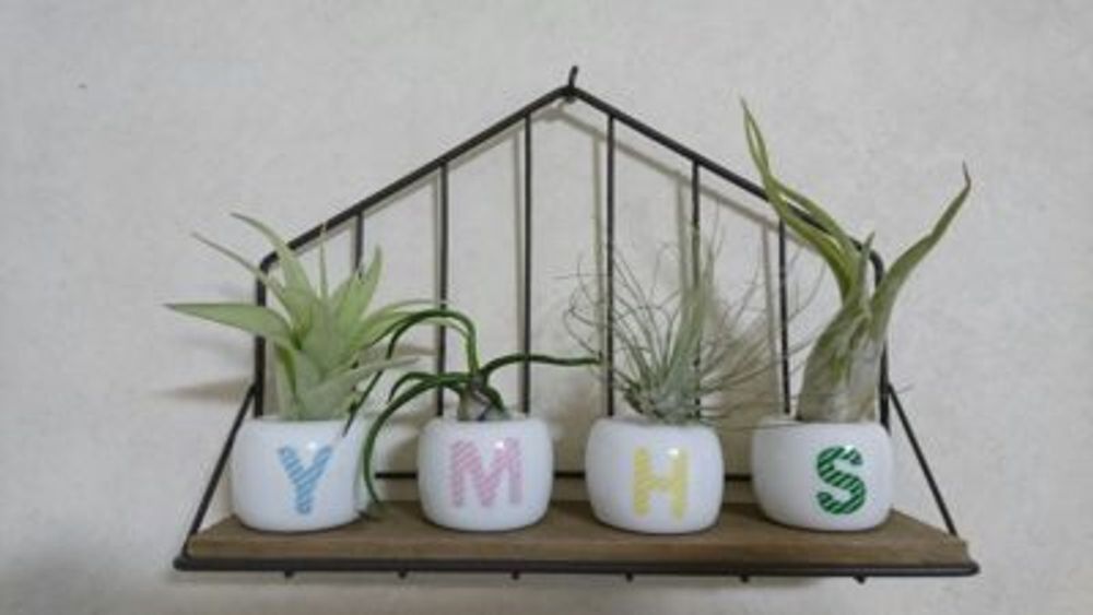 Photo by ねこぺーさん