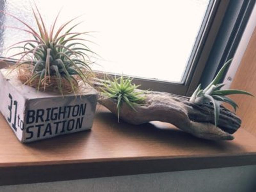 Photo by こたママさん