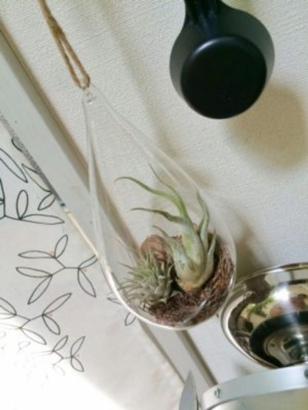 Photo by beside coffeeさん