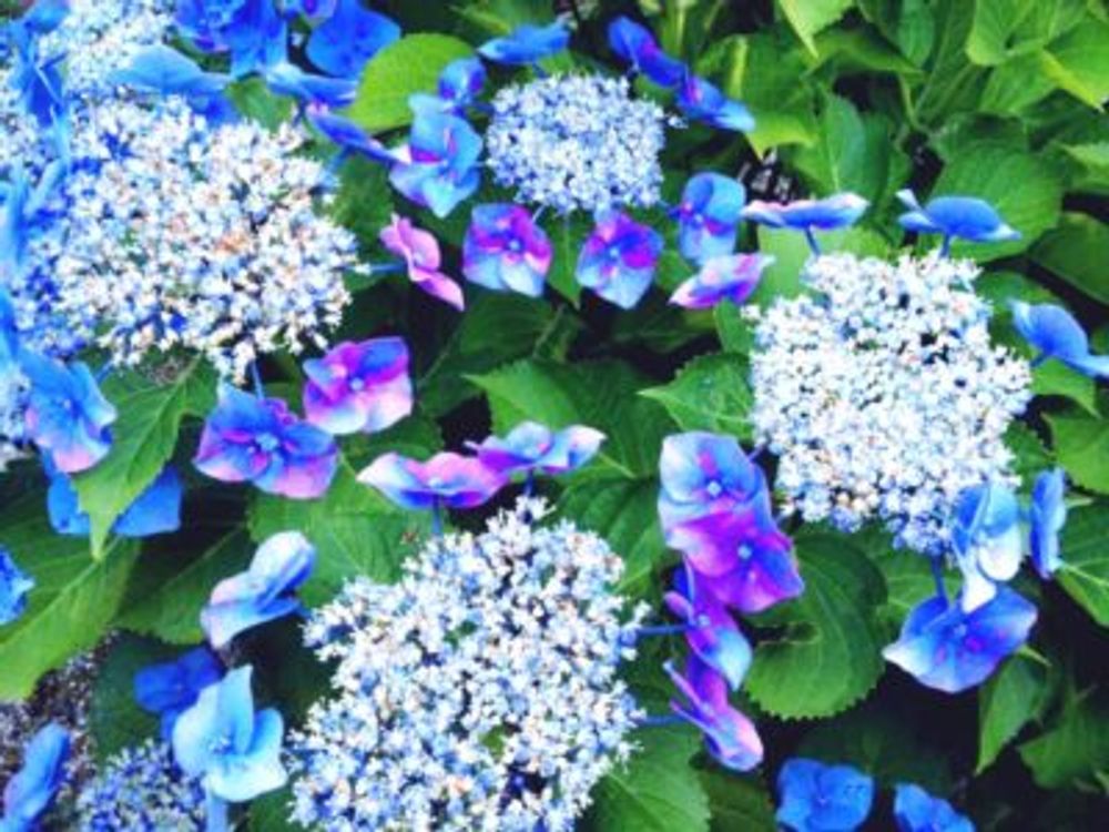 Photo by Agehaさん