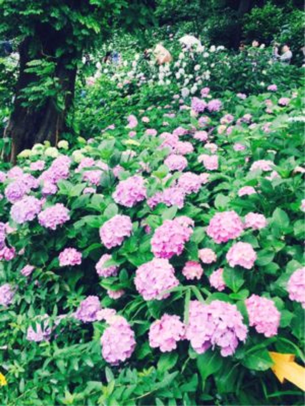 Photo by ta.ka.shhhさん