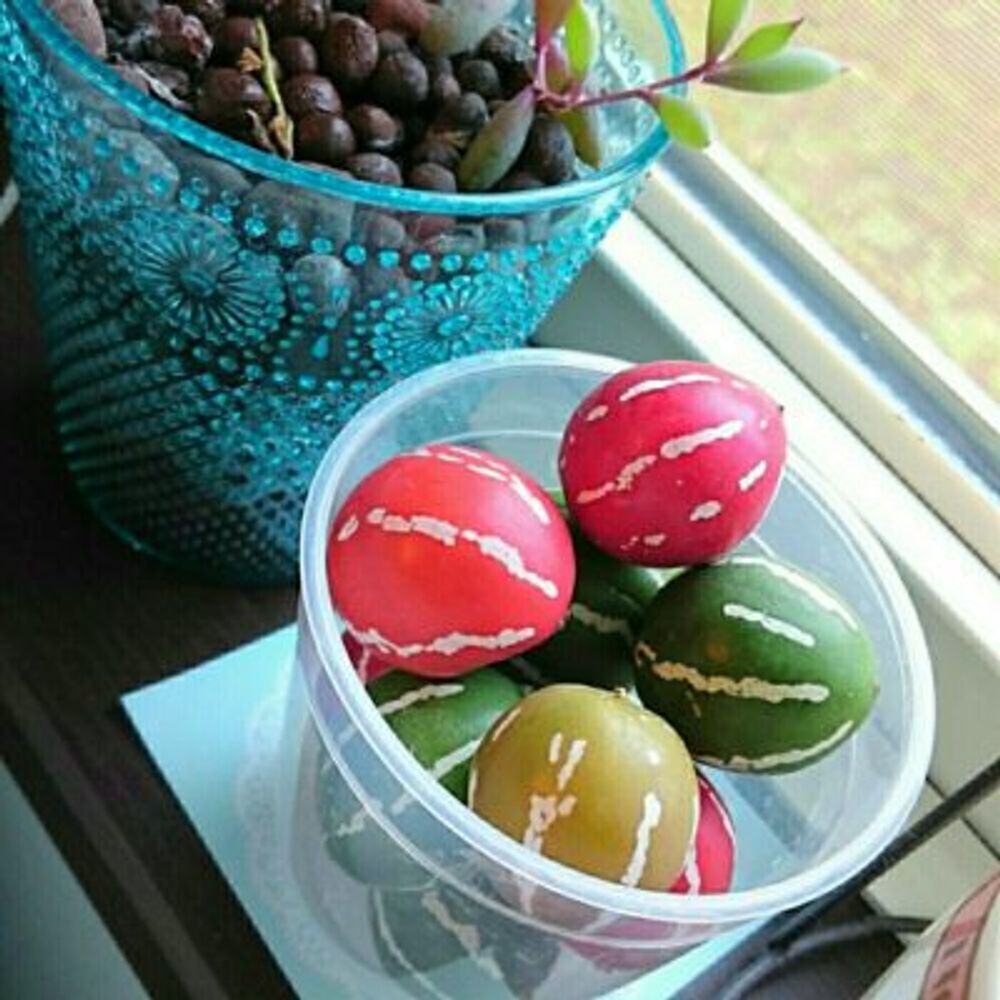 Photo by yocchiさん