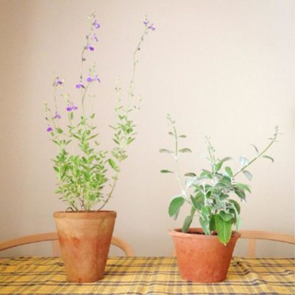 Photo by Griffinさん