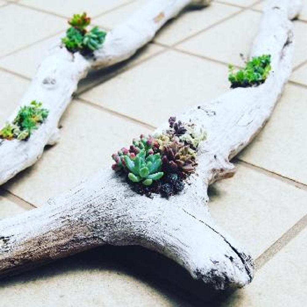 1462513594281_thum_1462513593887_thum_tmp-1