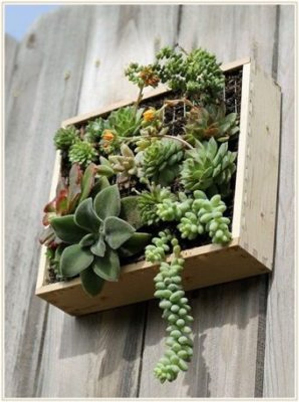 78aae8222b9570d63b758704f74d4620