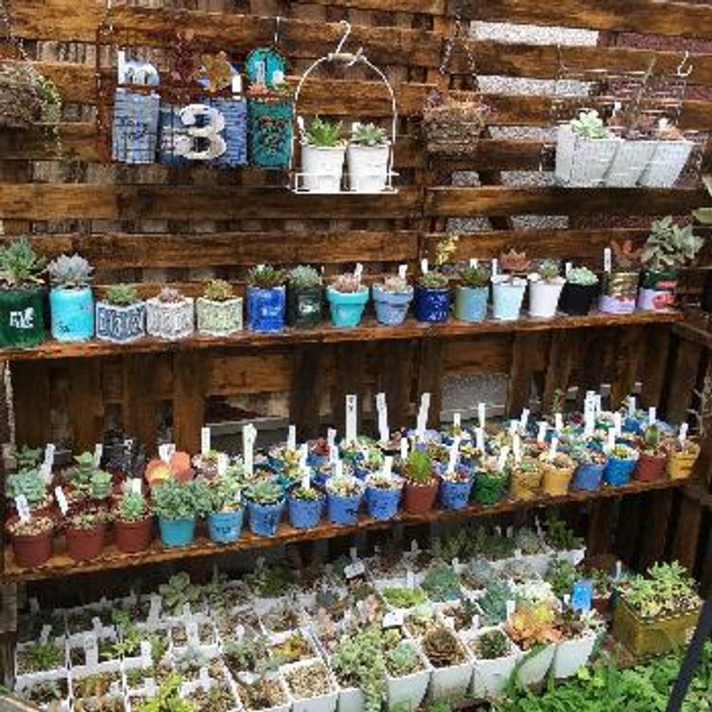 1466748647626_thum_1466748647000_thum_tmp