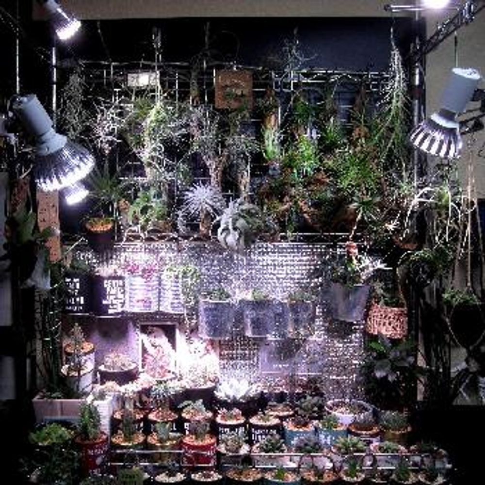 1468063566932_thum_1468063055247_thum_IMG_3673