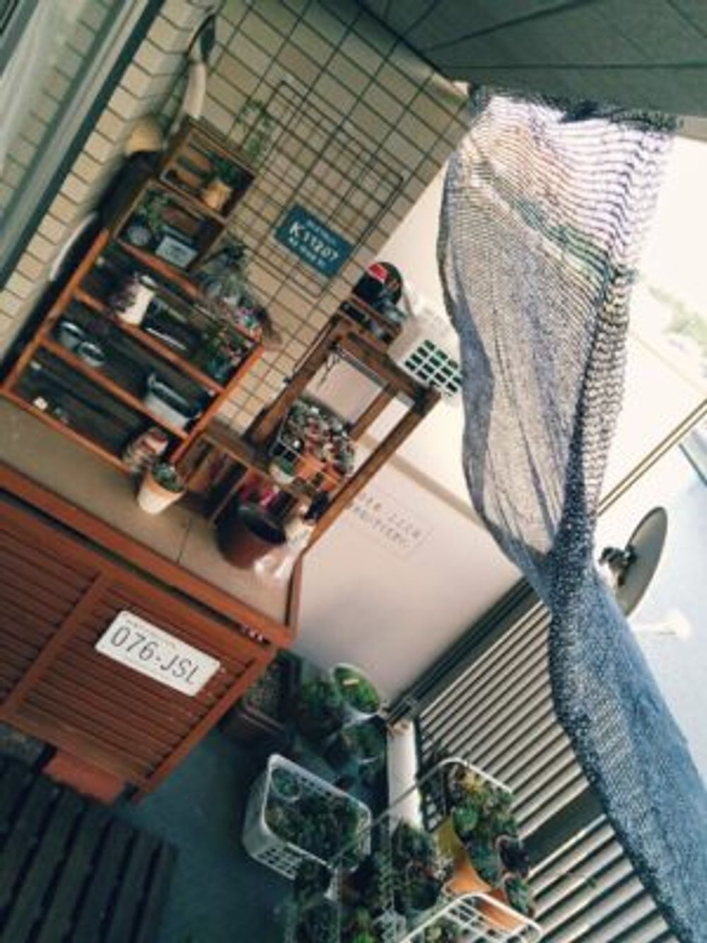 多肉沢山!の画像 by 秋さん｜ベランダ多肉と遮光と多肉植物 (2016月5月15日)｜みどりでつながる?GreenSnap