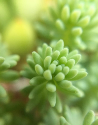 スクリーンショット 2016-08-22 16.23.09