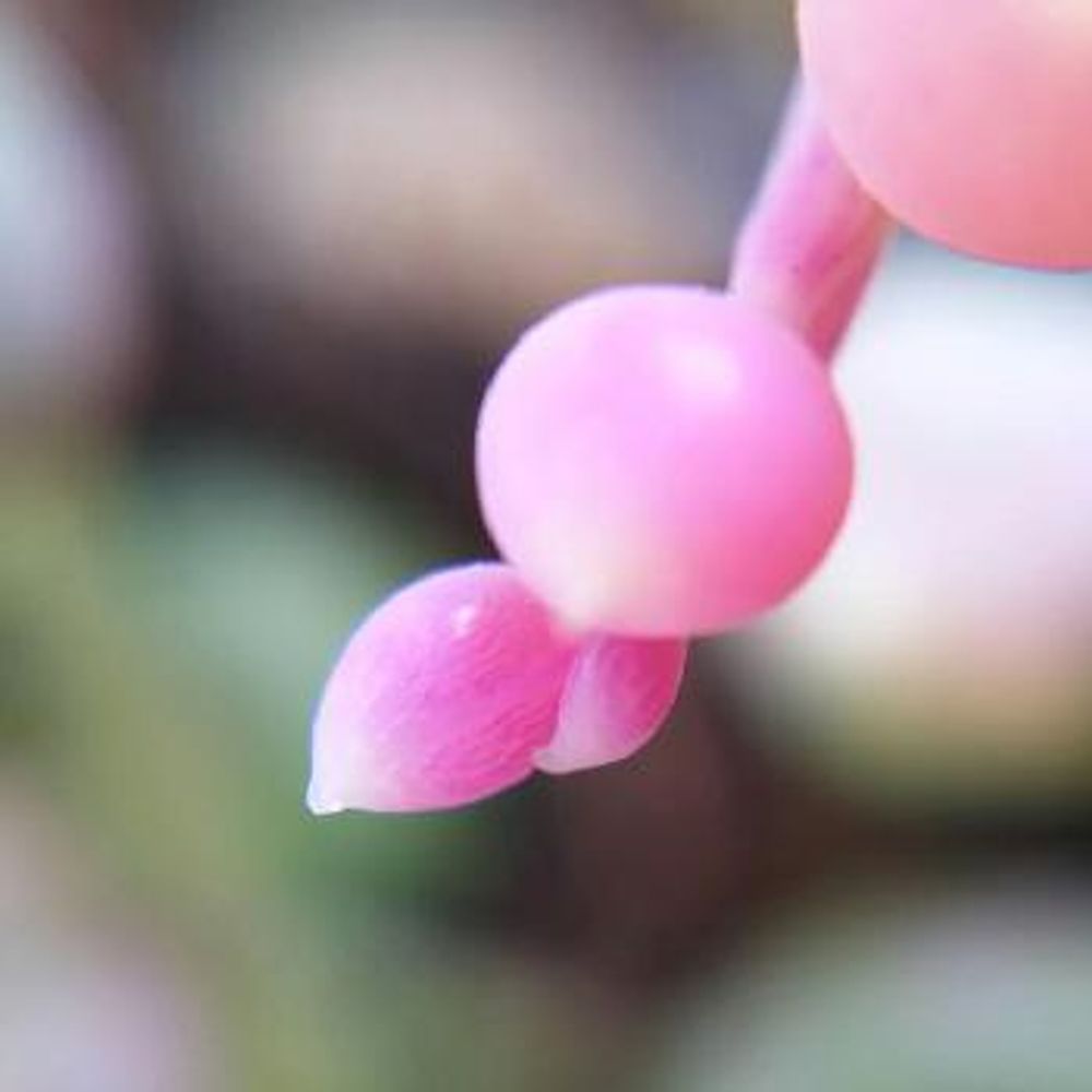 1464857775229_thum_1464857774866_thum_sample