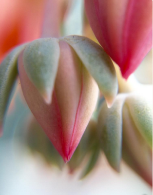 スクリーンショット 2016-08-22 16.37.46