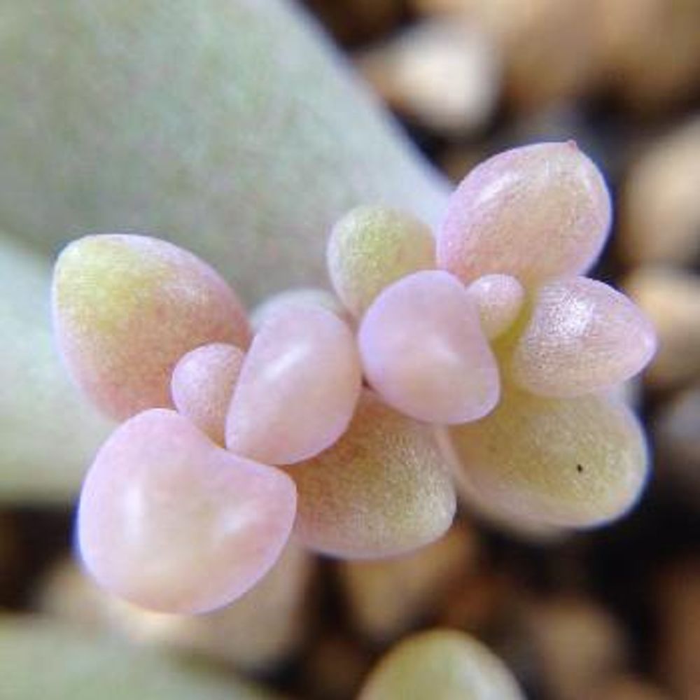 1466393135743_thum_1466393135317_thum_tmp