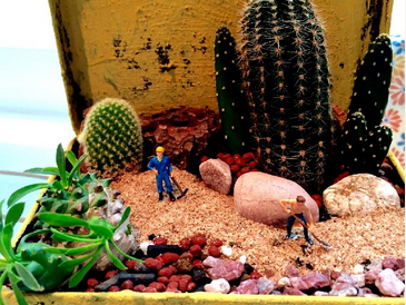 サボテン 寄せ植え ジオラマ 箱庭