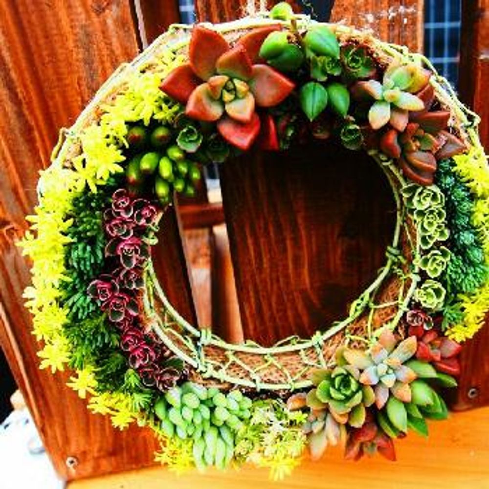 1472990343970_thum_1472990343536_thum_sample