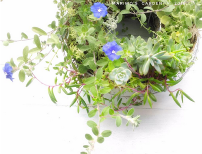 スクリーンショット 2016-09-30 10.21.22