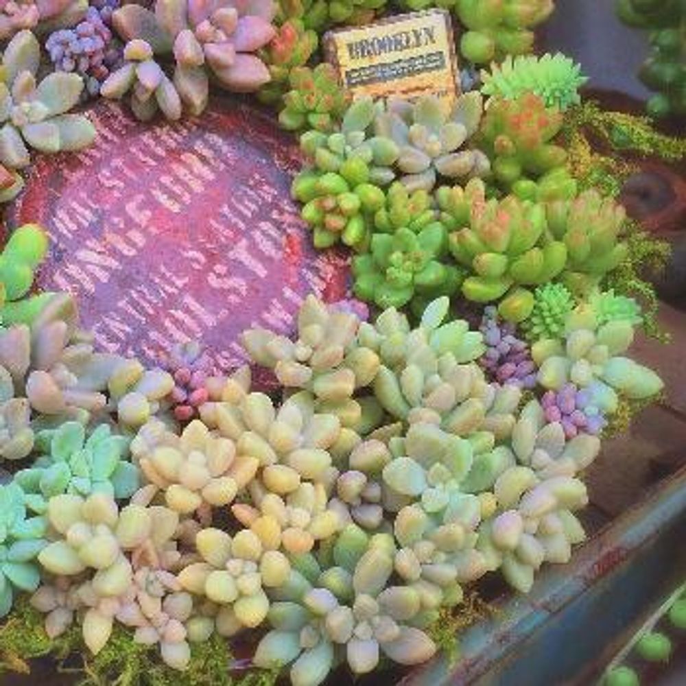 1474330934852_thum_1474330934414_thum_tmp